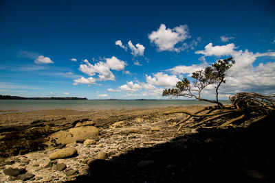 Scenic view of sea against blue sky