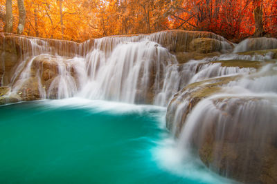 Scenic view of waterfall in forest