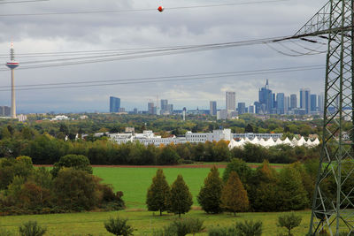 Scenic view of trees growing on field against sky