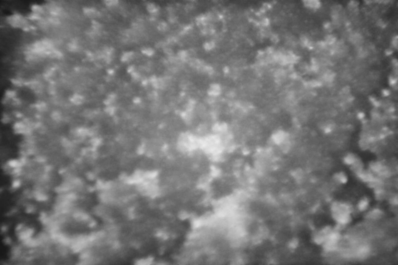 DEFOCUSED IMAGE OF SKY