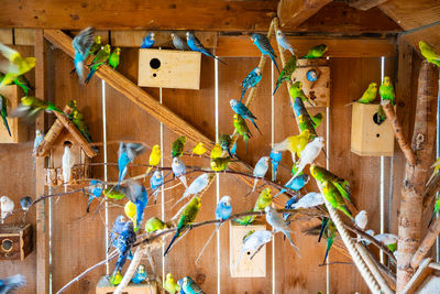 High angle view of decorations hanging on wall