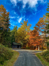 Road amidst trees against sky during autumn