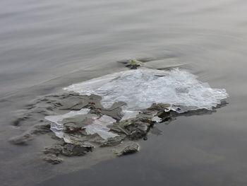 Aerial view of ice floating on sea