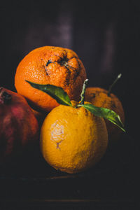 Close-up of oranges