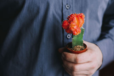 Concept of treatment and prevention of venereal diseases. cactus gymnocalycium mihanovichii in hand