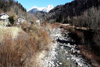 Scenic view of river against sky during winter