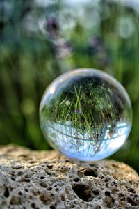 Crystal ball with grass reflection on rock