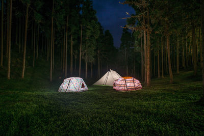 Tent on field against trees at night