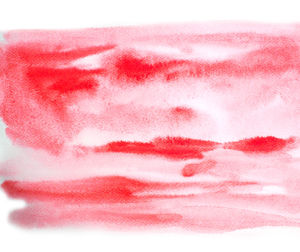Full frame shot of pink petals