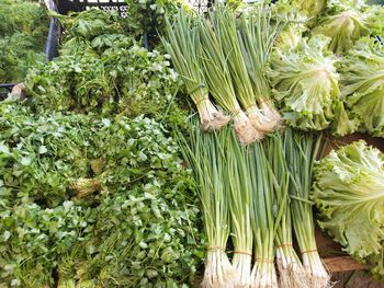 High angle view of vegetables at market stall