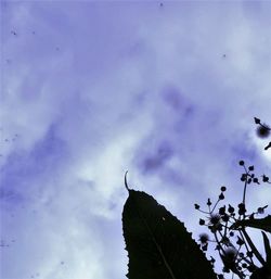 Low angle view of silhouette birds perching on tree against sky