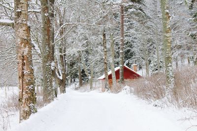 Snow covered walkway