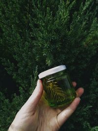 Midsection of person holding drink against plants