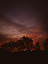 Silhouette trees against sky during sunset
