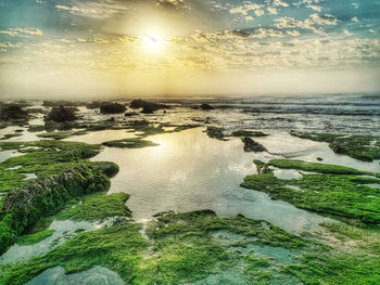 Scenic view of sea against sky during sunset