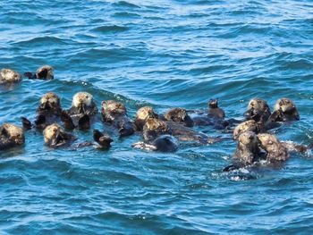 Rocks in sea