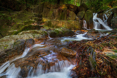 Scenic view of waterfall in forest