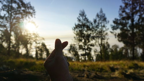 Midsection of person against trees against sky