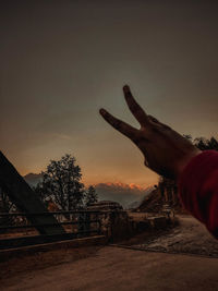 Person hand by tree against sky during sunset