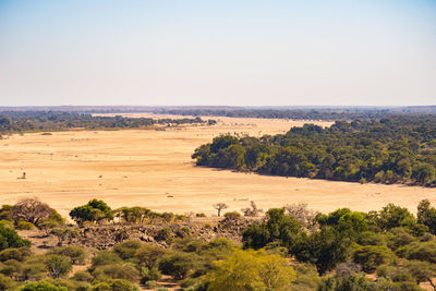 Scenic view of field against clear sky