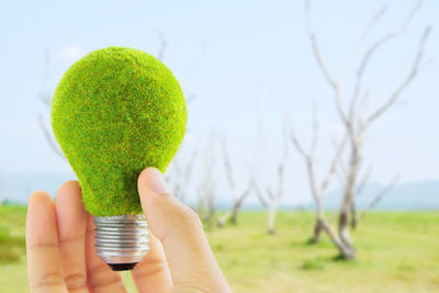 Cropped image of person holding moss covered light bulb