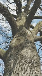 Low angle view of bare trees against sky