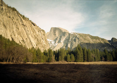 Panoramic shot of trees on field against sky