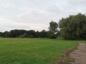 Scenic view of trees on field against sky