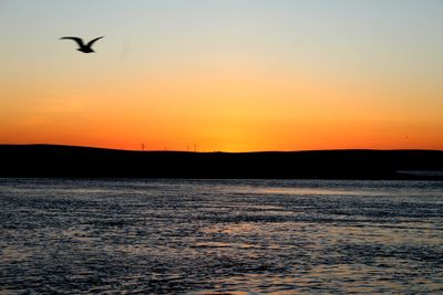 Silhouette bird flying over sea against clear sky during sunset