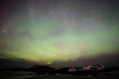 Scenic view of star field against sky at night