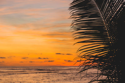 Silhouette palm tree by sea against sky during sunset