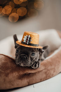 Close-up of hat