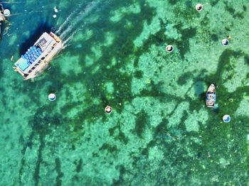 High angle view of people swimming in sea