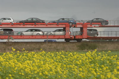 Train on field against sky