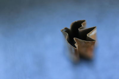 High angle view of leaf shape cookie cutter on table