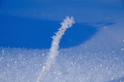 Close-up of frozen water