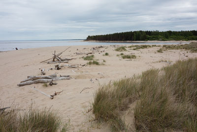 Scenic view of beach against sky