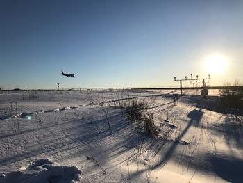 Birds flying over beach against clear sky during winter