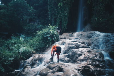 View of waterfall in forest