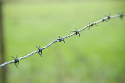 Close-up of barbed wire fence