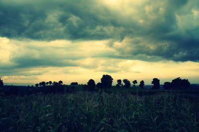 Scenic view of grassy field against cloudy sky