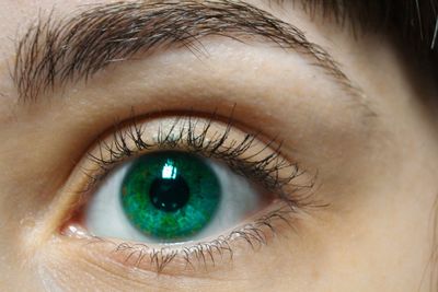 Close-up portrait of eye