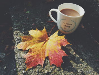 Close-up of maple leaf on coffee during autumn