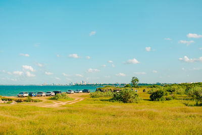 Scenic view of field against sky