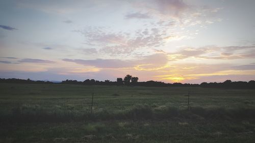 Scenic view of field against sky during sunset