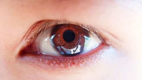 Close-up portrait of human eye