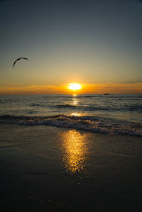 Scenic view of sunset over sea