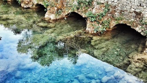 Reflection of tree in water