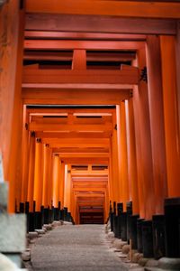 Japanese shrine, torii gates