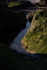 High angle view of rock formation at sea shore
